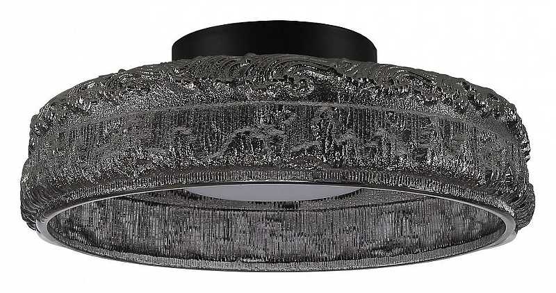 Накладной светильник ST-Luce ANT1KE SL6143.412.01 