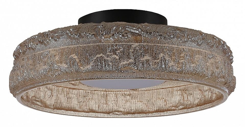 Накладной светильник ST-Luce ANT1KE SL6143.422.01 