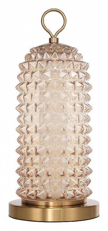 Настольная лампа ST-Luce SAGUARO SL6144.304.01 