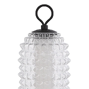 Настольная лампа ST-Luce SAGUARO SL6144.404.01 цвет плафона/подвески Прозрачный, цвет арматуры Черный-2