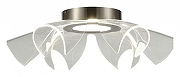 Накладной светильник ST-Luce Fa1ry SL6235.102.20 цвет плафона/подвески Прозрачный, цвет арматуры Никель-2