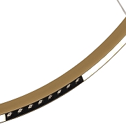 Подвесной светильник ST-Luce PAR1LLA SL6238.343.01 цвет плафона/подвески Латунь, цвет арматуры Латунь-5