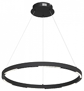 Подвесной светильник ST-Luce PAR1LLA SL6238.433.01 цвет плафона/подвески Черный, цвет арматуры Черный-3