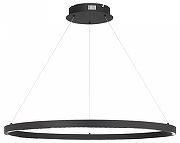 Подвесной светильник ST-Luce PAR1LLA SL6238.443.01 цвет плафона/подвески Черный, цвет арматуры Черный-1