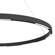 Подвесной светильник ST-Luce PAR1LLA SL6238.443.01 цвет плафона/подвески Черный, цвет арматуры Черный-5