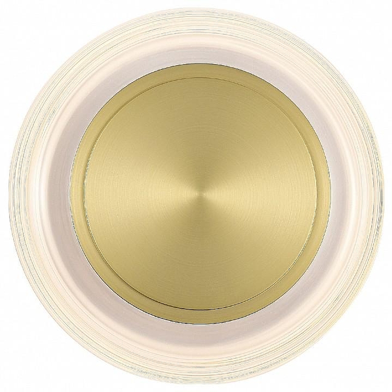 Накладной светильник ST-Luce FR1TTELA SL6239.201.03 