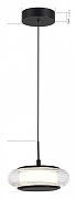 Подвесной светильник ST-Luce FR1TTELA SL6239.403.01 цвет плафона/подвески Прозрачный, цвет арматуры Черный