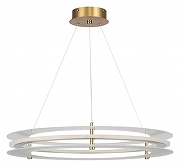 Подвесной светильник ST-Luce FAGY SL6245.203.01 цвет плафона/подвески Прозрачный, цвет арматуры Золото-2