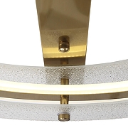 Накладной светильник ST-Luce FAGY SL6245.212.01 цвет плафона/подвески Прозрачный, цвет арматуры Золото-4