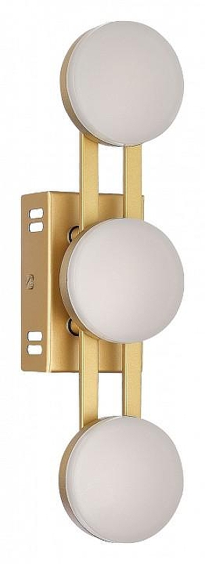 Накладной светильник ST-Luce MONRO SL6610.201.03 