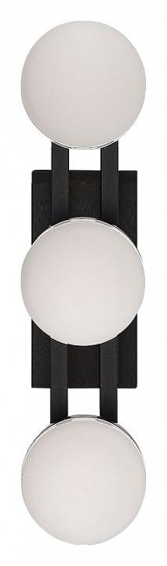 Накладной светильник ST-Luce MONRO SL6610.401.03 