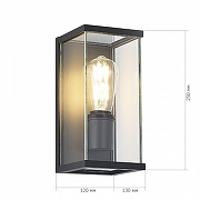 Накладной светильник ST-Luce Gross SL9019.701.01 цвет плафона/подвески Прозрачный, цвет арматуры Серый-4