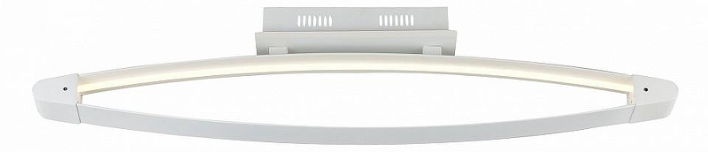 Накладной светильник ST-Luce SL920 SL920.102.01 