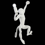 Накладной светильник EVOLUCE Tenato SLE115111-01 цвет Белый-2