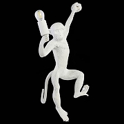 Накладной светильник EVOLUCE Tenato SLE115111-01 цвет Белый-3