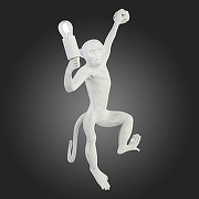 Накладной светильник EVOLUCE Tenato SLE115111-01 цвет Белый-4