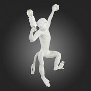 Накладной светильник EVOLUCE Tenato SLE115111-01 цвет Белый-5