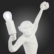 Накладной светильник EVOLUCE Tenato SLE115111-01 цвет Белый-7