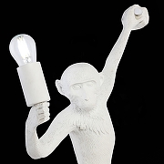 Накладной светильник EVOLUCE Tenato SLE115111-01 цвет Белый-8