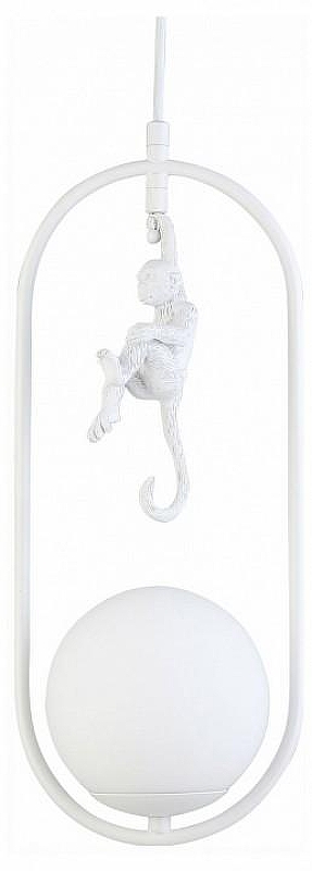 Подвесной светильник EVOLUCE Tenato SLE115123-01 