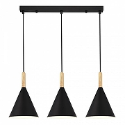 Подвесной светильник EVOLUCE Arket SLE1255-403-03 цвет плафона/подвески Черный, цвет арматуры Черный-1