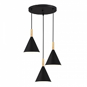 Подвесной светильник EVOLUCE Arket SLE1255-423-03 цвет плафона/подвески Черный, цвет арматуры Черный-1