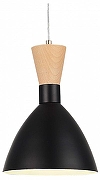 Подвесной светильник EVOLUCE V1STA SLE1256-403-01 цвет плафона/подвески Коричневый, Черный, цвет арматуры Латунь, Черный