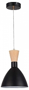Подвесной светильник EVOLUCE V1STA SLE1256-403-01 цвет плафона/подвески Коричневый, Черный, цвет арматуры Латунь, Черный-2