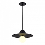 Подвесной светильник EVOLUCE Rizz SLE1257-443-01 цвет плафона/подвески Белый, цвет арматуры Черный-1