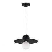 Подвесной светильник EVOLUCE Rizz SLE1257-443-01 цвет плафона/подвески Белый, цвет арматуры Черный-2