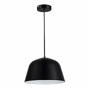 Подвесной светильник EVOLUCE Blank SLE1805-403-01 цвет плафона/подвески Черный, цвет арматуры Черный-1