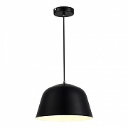 Подвесной светильник EVOLUCE Blank SLE1805-403-01 цвет плафона/подвески Черный, цвет арматуры Черный-2