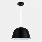 Подвесной светильник EVOLUCE Blank SLE1805-403-01 цвет плафона/подвески Черный, цвет арматуры Черный-4