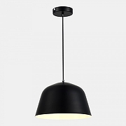 Подвесной светильник EVOLUCE Blank SLE1805-403-01 цвет плафона/подвески Черный, цвет арматуры Черный-5