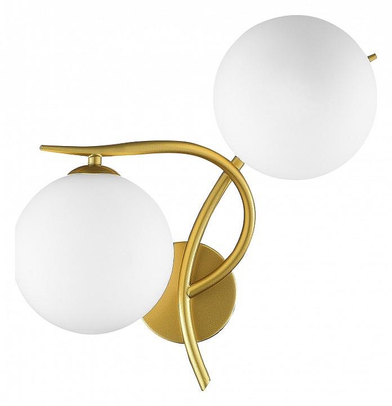 Бра EVOLUCE Artu SLE2210-201-02 