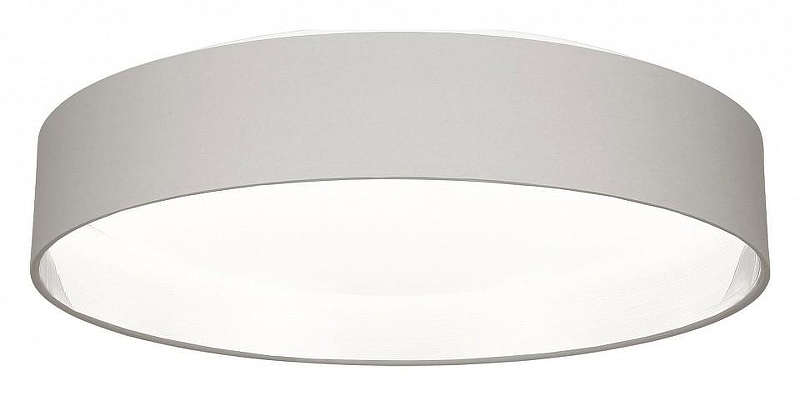 Накладной светильник EVOLUCE Brescia SLE300512-01 