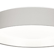 Накладной светильник EVOLUCE Brescia SLE300512-01 цвет плафона/подвески Серебро, Серый, цвет арматуры Никель-2