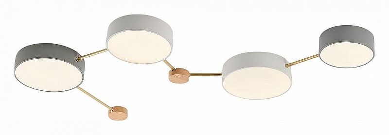 Накладной светильник EVOLUCE Dossena SLE600102-04 