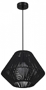 Подвесной светильник EVOLUCE ETTAN SLE6025-403-01 цвет плафона/подвески Черный, цвет арматуры Черный-2
