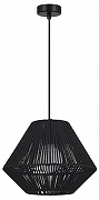 Подвесной светильник EVOLUCE ETTAN SLE6025-403-01 цвет плафона/подвески Черный, цвет арматуры Черный-3