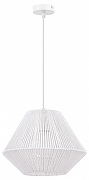 Подвесной светильник EVOLUCE ETTAN SLE6025-503-01 цвет плафона/подвески Белый, цвет арматуры Белый-3