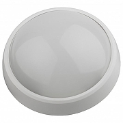 Накладной светильник Эра SPB-1 SPB-1-08 (W) цвет плафона/подвески Белый, цвет арматуры Белый