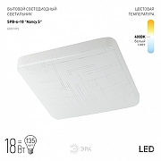 Накладной светильник Эра Классик SPB-6-18 Nancy S цвет плафона/подвески Белый, цвет арматуры Белый-6