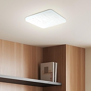 Накладной светильник Эра Классик SPB-6-24 Nancy S цвет плафона/подвески Белый, цвет арматуры Белый-8