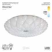 Накладной светильник Эра Классик SPB-6-40 Malo цвет плафона/подвески Белый, цвет арматуры Белый-1