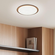 Накладной светильник Эра Классик SPB-6-70-RC Saturn (B) цвет плафона/подвески Белый, Коричневый, цвет арматуры Белый-3