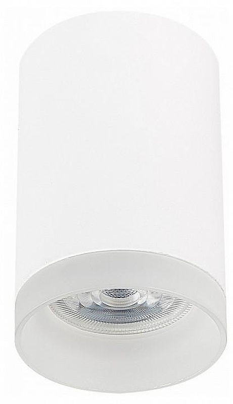 Накладной светильник ST-Luce ST100 ST100.502.01 