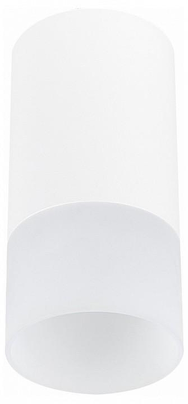 Накладной светильник ST-Luce ST100 ST100.512.01 