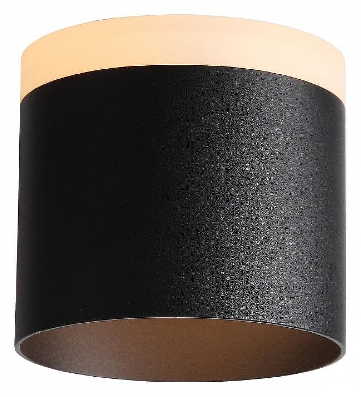 Накладной светильник ST-Luce Panagg1o ST102.402.12 