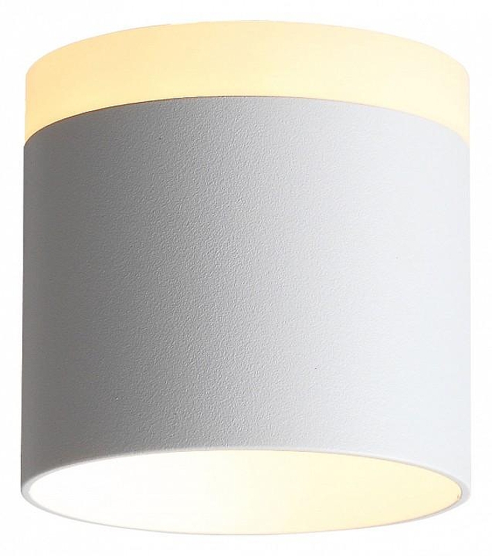 Накладной светильник ST-Luce Panagg1o ST102.502.09 